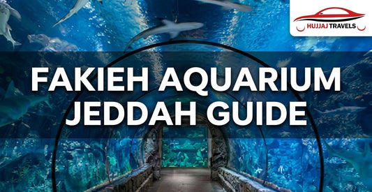 Why Is Fakieh Aquarium a Must-Visit Attraction in Jeddah?